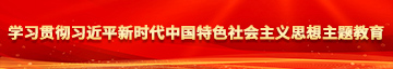 操胖逼视频网学习贯彻习近平新时代中国特色社会主义思想主题教育